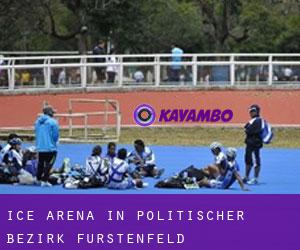 Ice Arena in Politischer Bezirk Fürstenfeld