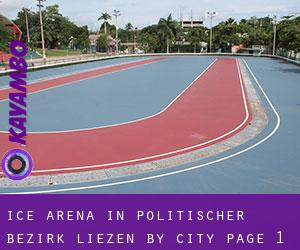 Ice Arena in Politischer Bezirk Liezen by city - page 1
