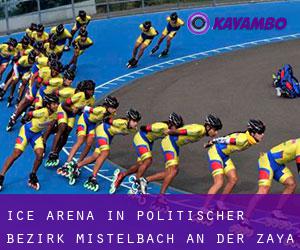 Ice Arena in Politischer Bezirk Mistelbach an der Zaya by city - page 1