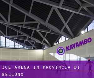 Ice Arena in Provincia di Belluno