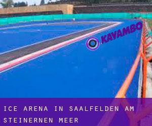 Ice Arena in Saalfelden am Steinernen Meer