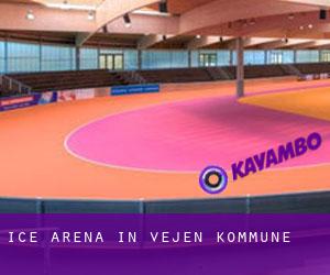 Ice Arena in Vejen Kommune