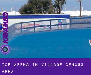 Ice Arena in Village (census area)