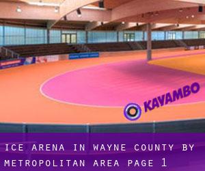 Ice Arena in Wayne County by metropolitan area - page 1