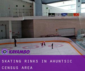 Skating Rinks in Ahuntsic (census area)