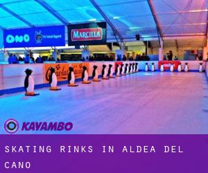 Skating Rinks in Aldea del Cano