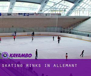 Skating Rinks in Allemant