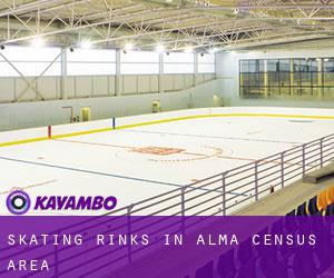 Skating Rinks in Alma (census area)