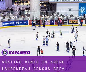 Skating Rinks in André-Laurendeau (census area)