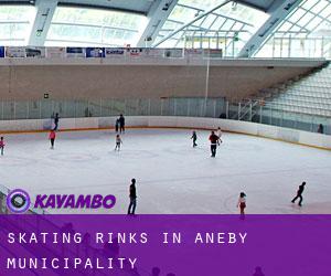 Skating Rinks in Aneby Municipality