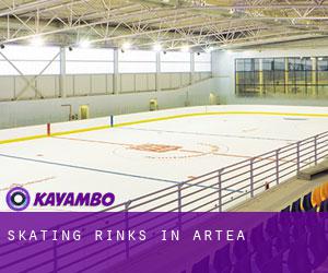 Skating Rinks in Artea