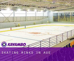 Skating Rinks in Aue Skating Rinks in Aue
