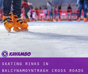 Skating Rinks in Balcynamoyntragh Cross Roads