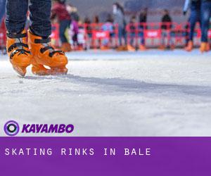 Skating Rinks in Bâle