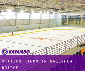 Skating Rinks in Ballynew Bridge