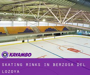 Skating Rinks in Berzosa del Lozoya