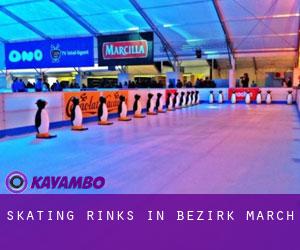 Skating Rinks in Bezirk March