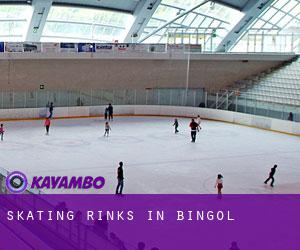 Skating Rinks in Bingöl