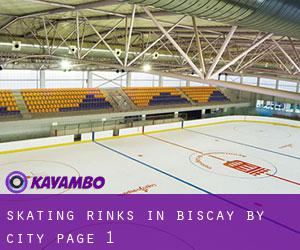 Skating Rinks in Biscay by city - page 1