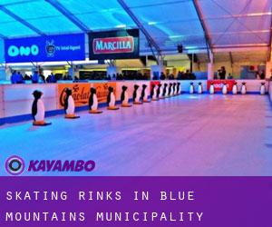 Skating Rinks in Blue Mountains Municipality