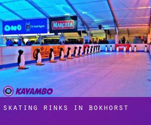 Skating Rinks in Bokhorst