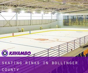 Skating Rinks in Bollinger County