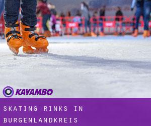 Skating Rinks in Burgenlandkreis