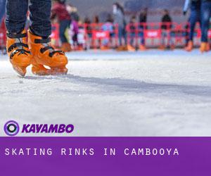 Skating Rinks in Cambooya