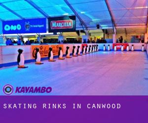 Skating Rinks in Canwood