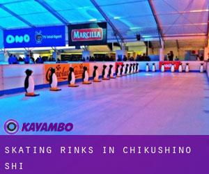 Skating Rinks in Chikushino-shi