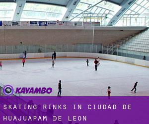 Skating Rinks in Ciudad de Huajuapam de León