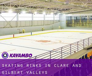 Skating Rinks in Clare and Gilbert Valleys