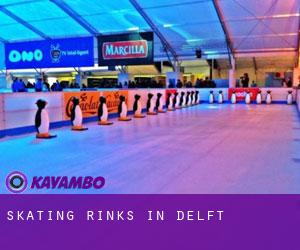 Skating Rinks in Delft