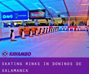 Skating Rinks in Doñinos de Salamanca