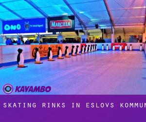 Skating Rinks in Eslövs Kommun Skating Rinks in Eslövs Kommun