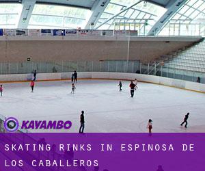 Skating Rinks in Espinosa de los Caballeros