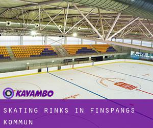 Skating Rinks in Finspångs Kommun