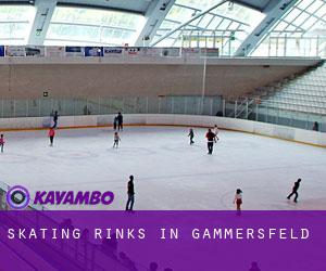 Skating Rinks in Gammersfeld