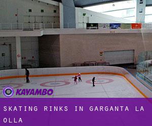 Skating Rinks in Garganta la Olla