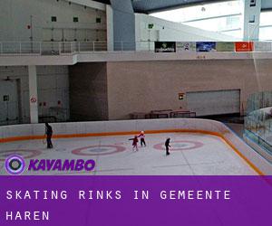 Skating Rinks in Gemeente Haren Skating Rinks in Gemeente Haren