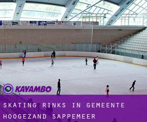 Skating Rinks in Gemeente Hoogezand-Sappemeer