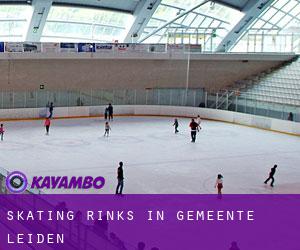 Skating Rinks in Gemeente Leiden