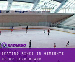 Skating Rinks in Gemeente Nieuw-Lekkerland