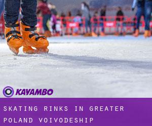 Skating Rinks in Greater Poland Voivodeship