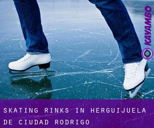Skating Rinks in Herguijuela de Ciudad Rodrigo