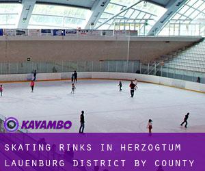 Skating Rinks in Herzogtum Lauenburg District by county seat - page 3