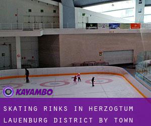 Skating Rinks in Herzogtum Lauenburg District by town - page 1