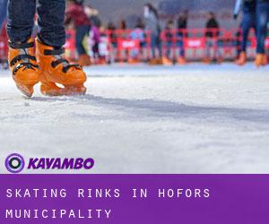Skating Rinks in Hofors Municipality