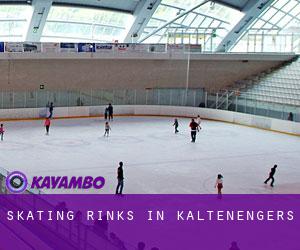 Skating Rinks in Kaltenengers