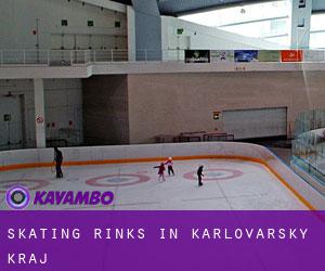 Skating Rinks in Karlovarský Kraj Skating Rinks in Karlovarský Kraj